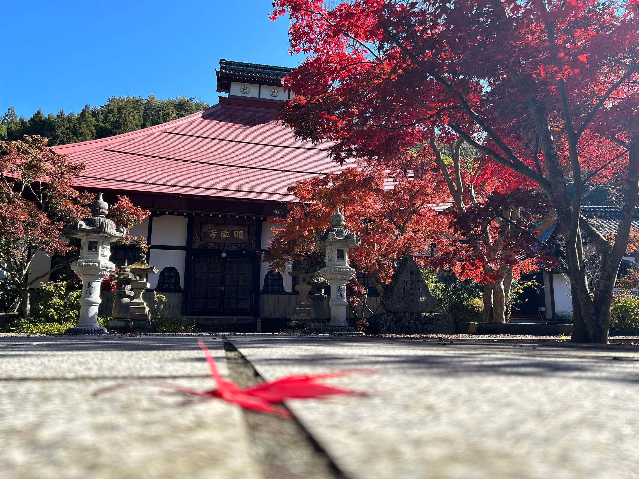 紅葉の枝越しに見上げる明徳寺の伽藍