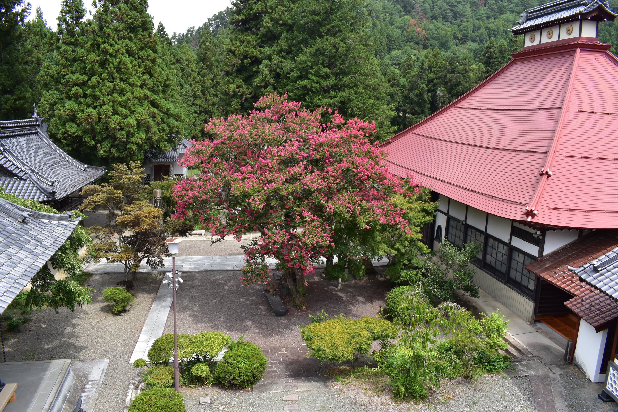 高台から見渡す明徳寺の境内と本堂