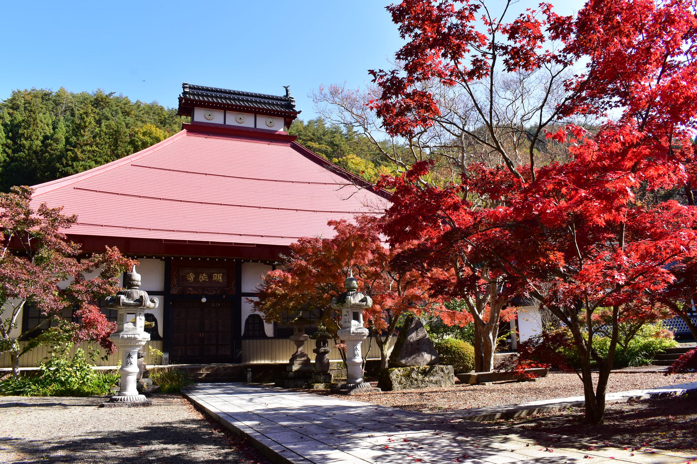 鮮やかな紅葉に囲まれた秋の明徳寺本堂